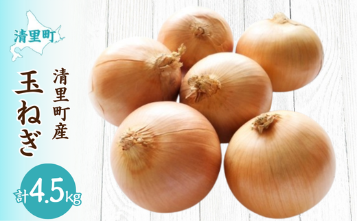 【先行予約】清里町産玉ねぎ約4.5kg（2025年10月中旬より順次発送） KYSB036