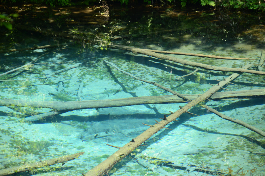 観光と環境保全の振興によるふるさとづくり