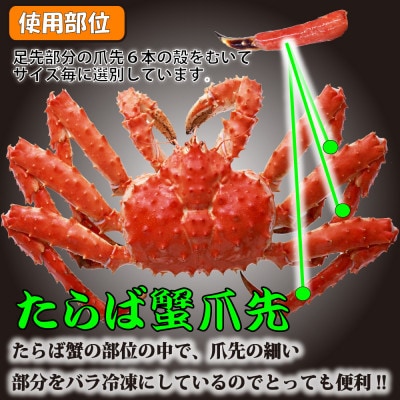 生冷たらば蟹爪先ポーション　500g【配送不可地域：離島】【1691143】