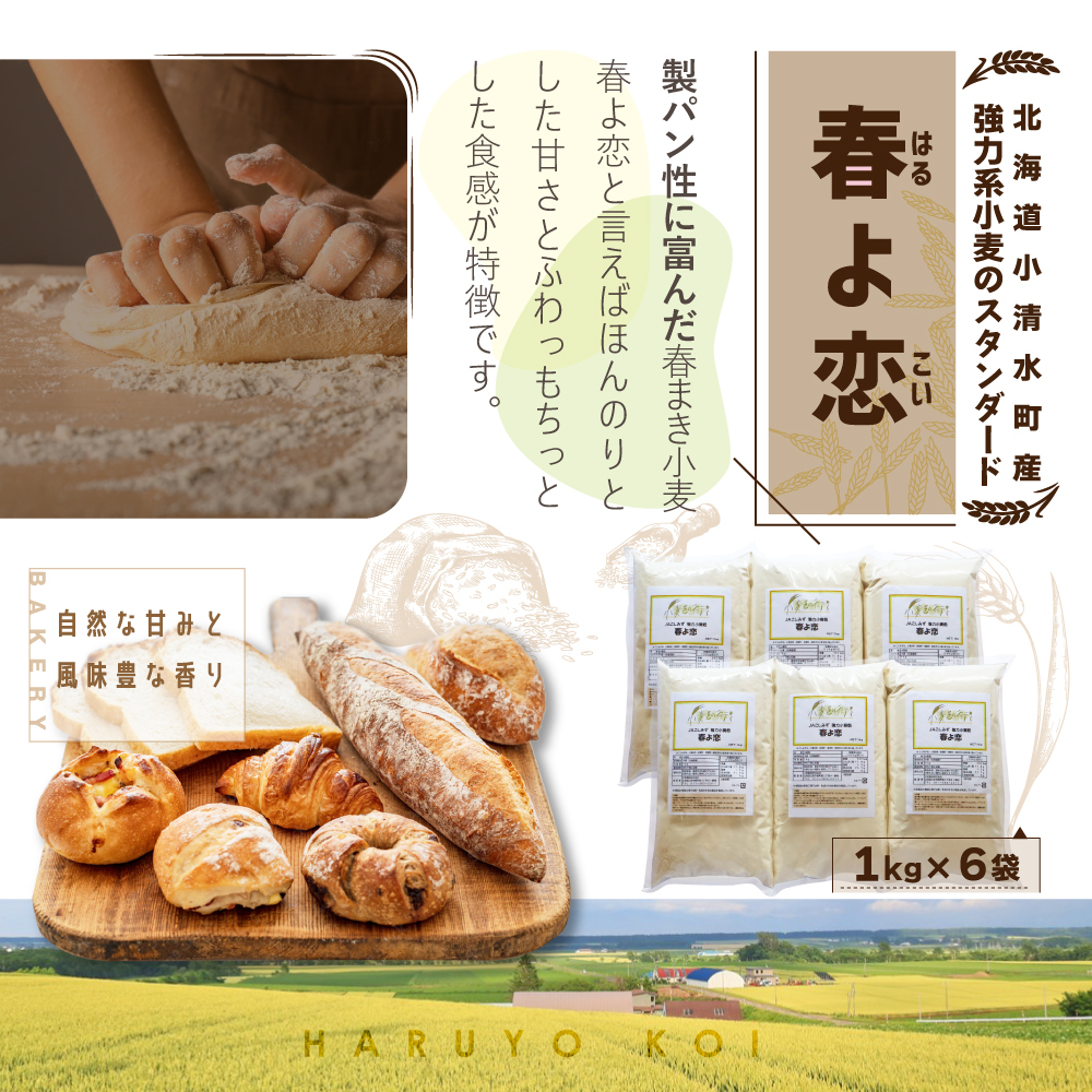 北海道小清水町産 「春よ恋」強力小麦粉6kg（1kg×6袋）【01011】