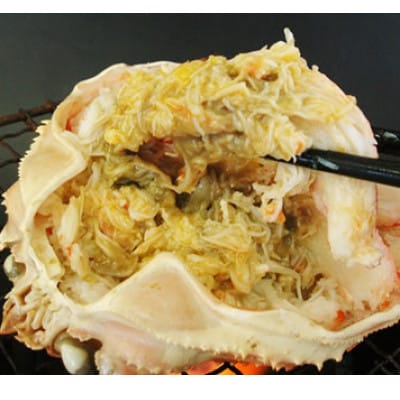 お手軽混ぜるだけ!本ずわい蟹甲羅盛　120g×10個セット(かに味噌入り)【配送不可地域：離島】【1738293】
