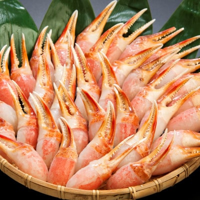 ご家庭で楽しむ 生冷凍 本ズワイガニ爪 1kg×2袋【カット済】【配送不可地域：離島】【1735398】