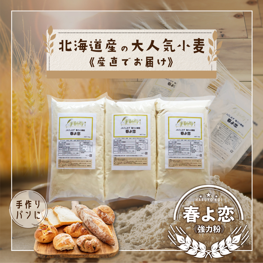 北海道小清水町産 「春よ恋」強力小麦粉3kg（1kg×3袋）【01010】