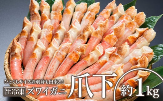 ひとくちサイズ お刺身も出来る！生冷凍ズワイガニ爪下 約1kg【0303501】