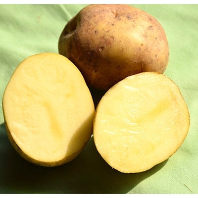 【先行受付　9月中旬以降発送】佐藤農場のじゃがいも「とうや」5kgと玉葱10kgセット【配送不可地域：離島・沖縄県】【1414647】