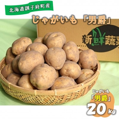 【先行受付　9月中旬以降発送】佐藤農場のじゃがいも「男爵」20kg【配送不可地域：離島・沖縄県】【1097715】