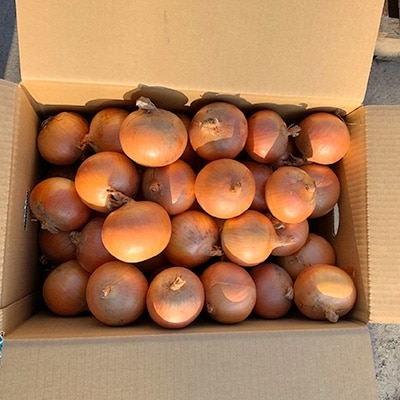 佐藤農場の玉葱20kg【配送不可地域：離島・沖縄県】【1097717】