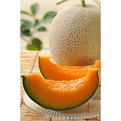 【2026年7月中旬以降発送】北海道　くんねっぷメロン2玉 【配送不可地域：離島・沖縄県】【1076857】