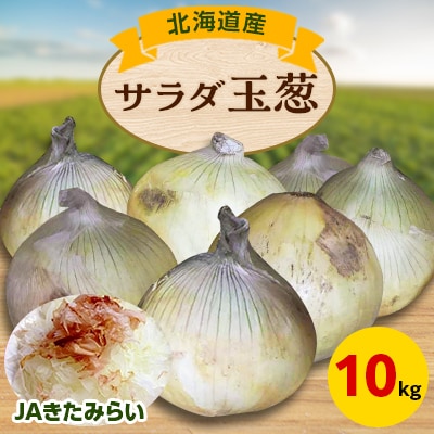 JAきたみらい　サラダ玉葱　10kg【配送不可地域：離島・沖縄県】【1292813】