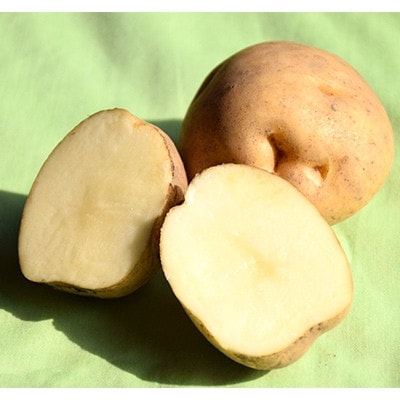 【先行受付　9月中旬以降発送】佐藤農場のじゃがいも「男爵」5kgと玉葱10kgセット【配送不可地域：離島・沖縄県】【1414645】