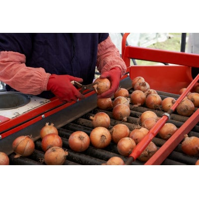 UNO ORGANIC FARMãåæµ·éèšååºç£ããªãŒã¬ããã¯çããã5kgããææ©JASèªèšŒããé
éäžå¯å°åïŒé¢å³¶ã»æ²çžçãã1455313ã