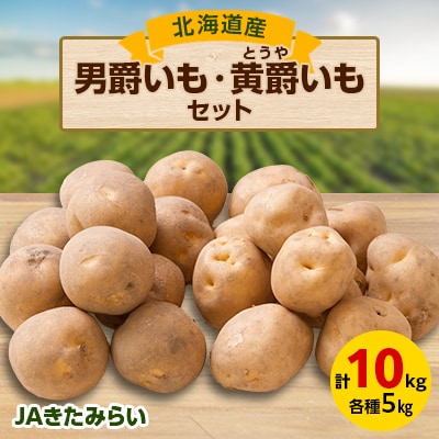 JAきたみらい 「男爵いも×5kg」・「黄爵(とうや)いも×5kg」セット【配送不可地域：離島・沖縄県】【1292826】