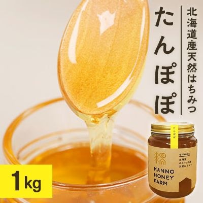 北海道産天然はちみつ　たんぽぽ　1kg【配送不可地域：離島・沖縄県】【1056691】