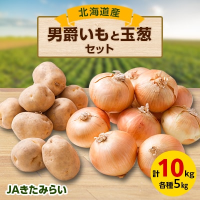 JAきたみらい「男爵いも×5kg」と「玉葱×5kg」セット【配送不可地域：離島・沖縄県】【1292830】