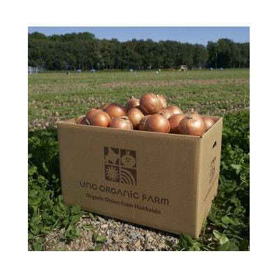 UNO ORGANIC FARM　北海道訓子府産　オーガニック玉ねぎ　20kg　【有機JAS認証】【配送不可地域：離島・沖縄県】【1455254】
