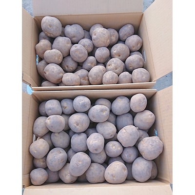 【先行受付　9月中旬以降発送】佐藤農場のじゃがいも「とうや」20kg【配送不可地域：離島・沖縄県】【1097716】