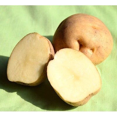 äœè€èŸ²å Žã®ããããããç·çµã10kgãé
éäžå¯å°åïŒé¢å³¶ã»æ²çžçãã1414642ã