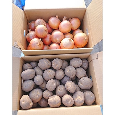 【先行受付　9月中旬以降発送】佐藤農場のじゃがいも「男爵」10kgと玉葱10kgセット【配送不可地域：離島・沖縄県】【1097718】