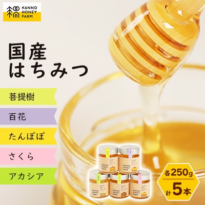 菅野養蜂場　国産はちみつ250g　5種類欲張りセット【配送不可地域：離島・沖縄県】【1091172】