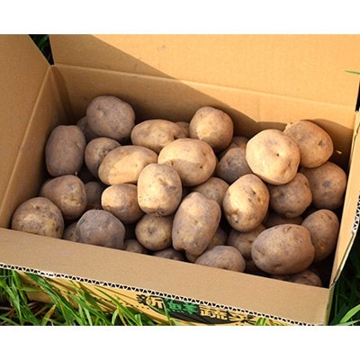 äœè€èŸ²å Žã®ããããããç·çµã10kgãé
éäžå¯å°åïŒé¢å³¶ã»æ²çžçãã1414642ã