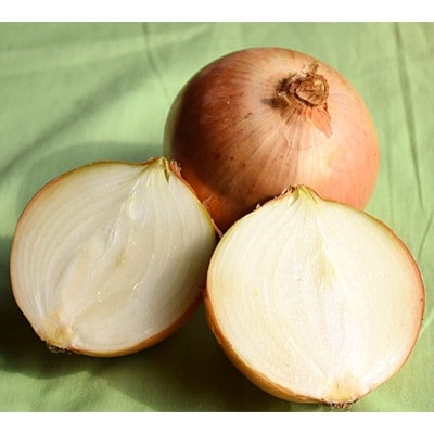 【先行受付　9月中旬以降発送】佐藤農場のじゃがいも「とうや」5kgと玉葱10kgセット【配送不可地域：離島・沖縄県】【1414647】