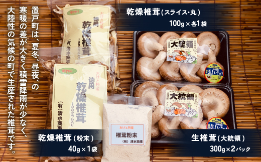 置戸町産シイタケセット(生椎茸(大統領)300g×2パック、乾燥椎茸（スライス、丸）100g各1袋、乾燥椎茸（粉末）40g1袋 計5点) OTB004