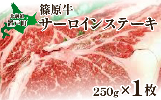 篠原牛サーロインステーキ 約250g×1枚 OTC001