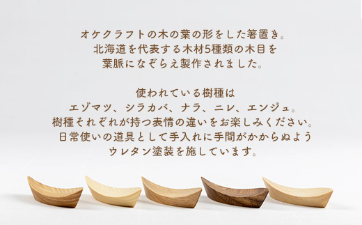 木の葉の箸置き 5樹種のセット（材質：エゾマツ、シラカバ、エンジュ、ナラ、ニレ各1個 計5個） OTA005