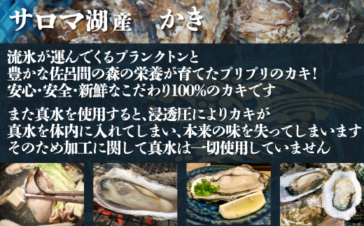 カキ 殻付き 2年貝 約4kg（40個前後） 佐呂間産 ［2回定期便］ SRMA042