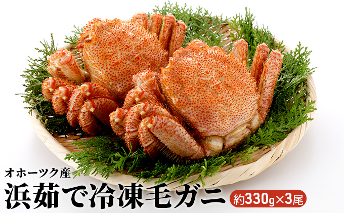 訳あり 毛ガニ 約330g×3尾 浜茹で 【丸サチ松永水産】 北海道