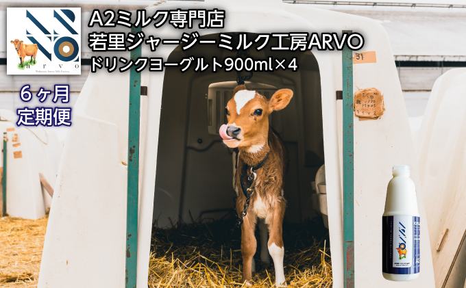 【6ヶ月定期便】ジャージー牛 A2ミルク ドリンクヨーグルト 900ml×4本【ARVO】 北海道 オホーツク 佐呂間町 ヨーグルト ドリンク 牛乳 乳飲料 乳製品 定期便