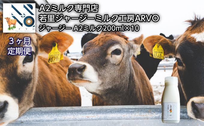 【3ヶ月定期便】ジャージー牛 A2ミルク 200ml×10本【ARVO】 北海道 オホーツク 佐呂間町 ドリンク 牛乳 ミルク 乳飲料 乳製品 定期便
