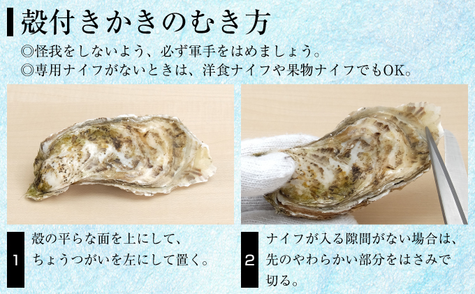 サロマ湖産 殻付きカキ貝 3kg（2年物）【北勝水産】 北海道 オホーツク