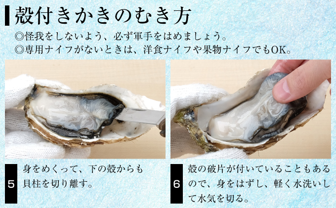 サロマ湖産 殻付きカキ貝 3kg（2年物）【北勝水産】 北海道 オホーツク