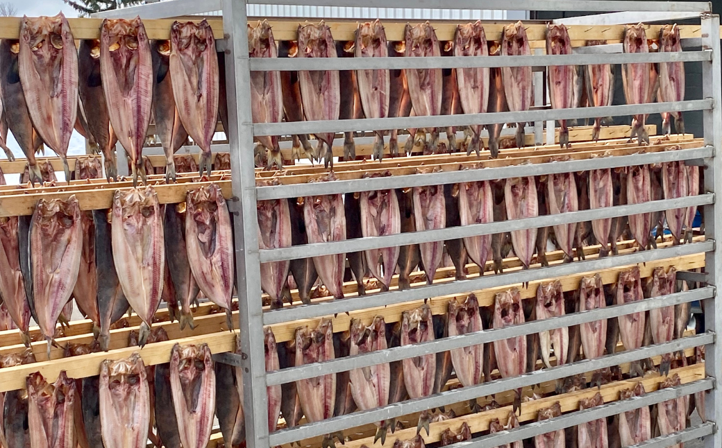 ほっけの開き 10枚（200〜300g前後） オホーツク産 真ほっけ SRMA026