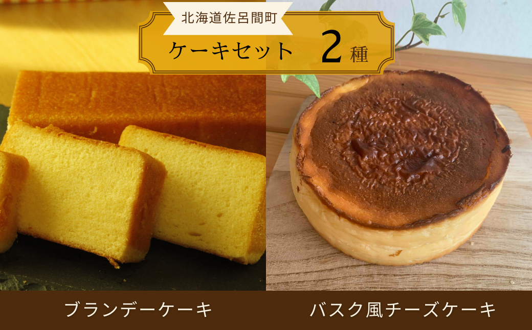 2種のケーキセット（ブランデーケーキ・バスク風チーズケーキ） SRMJ049