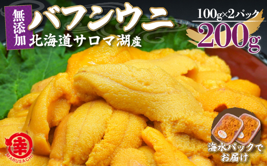 【先行予約】サロマ湖産 無添加 バフンウニ 200g（100g×2）海水パック SRMA022