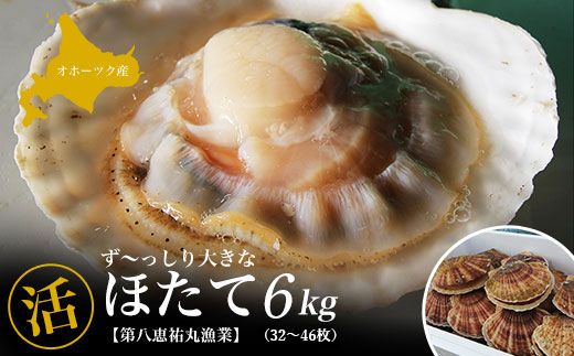 繧ェ繝帙シ繝繧ッ逕」 縺壹▲縺励j螟ァ縺阪↑縲取エサ縲 縺サ縺溘※ 6kgシ32縲46譫夲シ SRMN002