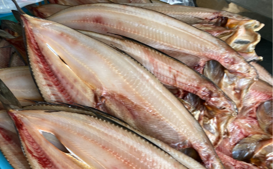 ほっけの開き 10枚（200〜300g前後） オホーツク産 真ほっけ SRMA026