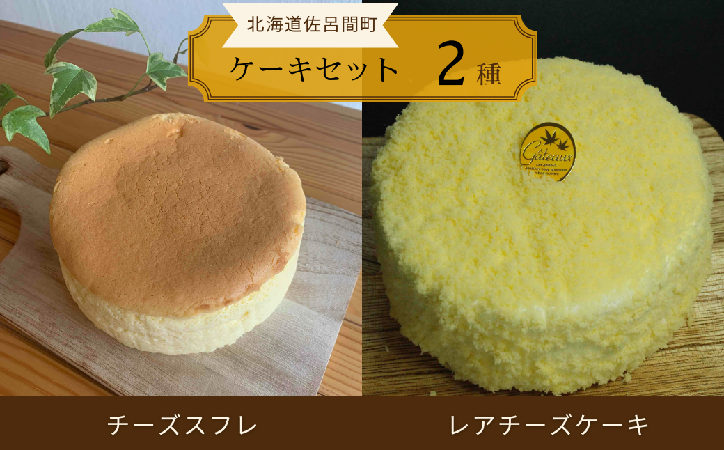 2種のケーキセット（チーズスフレ・レアチーズケーキ） SRMJ021