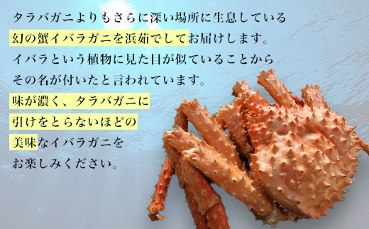 オホーツク産 幻の蟹 イバラガニ 2.0〜2.2kg SRMN014