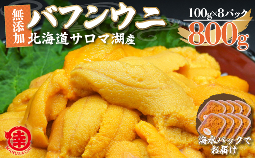 【先行予約】サロマ湖産 無添加 バフンウニ 800g（100g×8）海水パック SRMA024