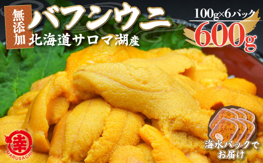 【先行予約】サロマ湖産 無添加 バフンウニ 600g（100g×6）海水パック SRMA020