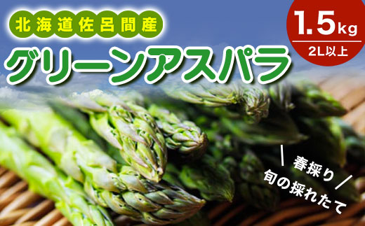 【春採り】 グリーンアスパラ 1.5kg（2L以上）旬の採れたて 北海道 佐呂間産（2025年4月出荷開始先行予約） SRMM017