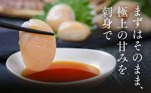 オホーツク海産ホタテ貝柱1kg ( ふるさと納税 北海道産 ほたて ホタテ貝柱 刺身 冷凍 貝 海鮮 お取り寄せグルメ 北海道 遠軽町 ) en01-00069