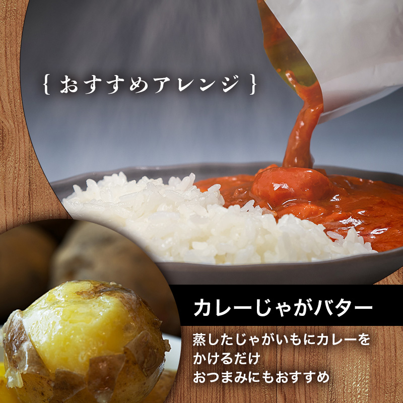 ガラムマサオやわらかチキンカレー 500g 10個セット en01-00253