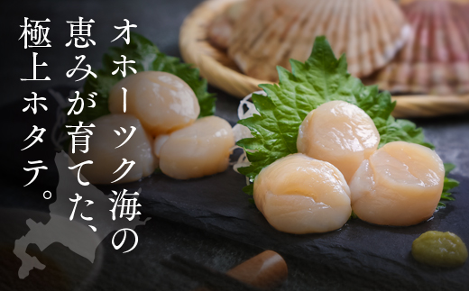 オホーツク海産ホタテ貝柱1kg ( ふるさと納税 北海道産 ほたて ホタテ貝柱 刺身 冷凍 貝 海鮮 お取り寄せグルメ 北海道 遠軽町 ) en01-00069