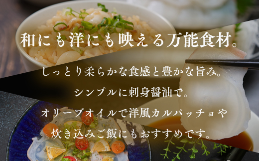 北海道産 たこのスライス（冷凍）４個パック 1kg (250g×4個) ( ふるさと納税 タコ 蛸 北海道産 刺身 カルパッチョ サラダ たこしゃぶ 寿司 冷凍 海鮮 お取り寄せグルメ 北海道 遠軽町 ) en01-00070