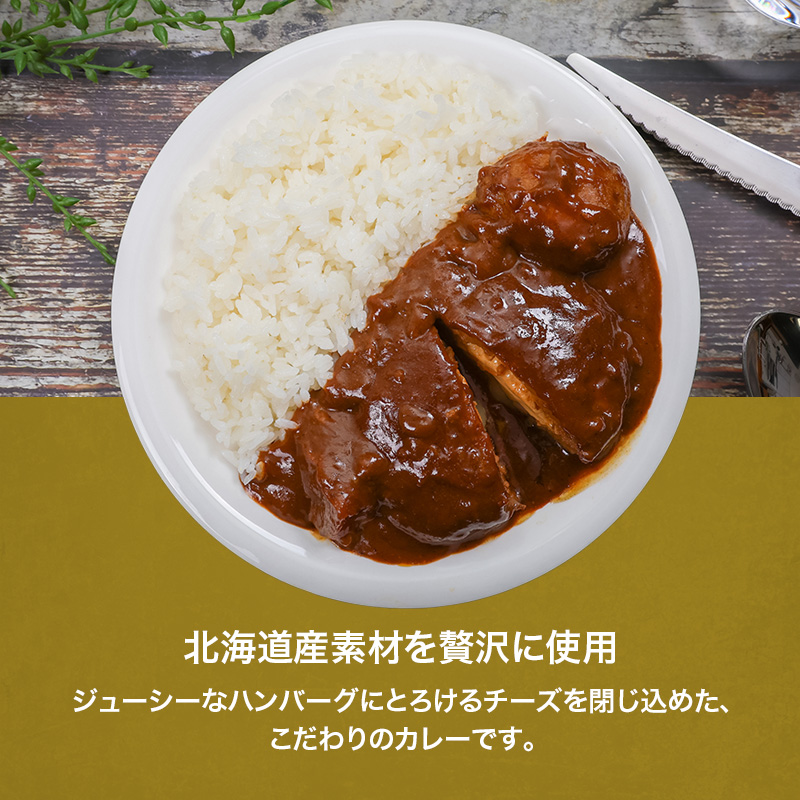 北海道発チーズインハンバーグカレー 300g 10個セットen01-00236