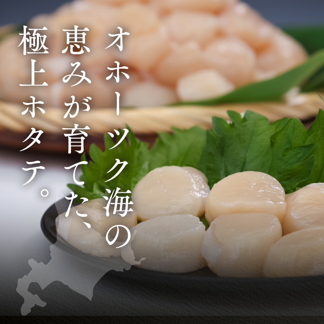 繧ェ繝帙シ繝繧ッ豬キ逕」繝帙ち繝雋晄浤1kg(蟆冗イ) en01-00324